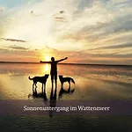 Nordstern Mit Sauna Und Whirlpool * Geestland