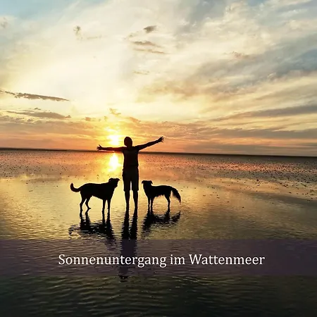 Nordstern Mit Sauna Und Whirlpool * Geestland
